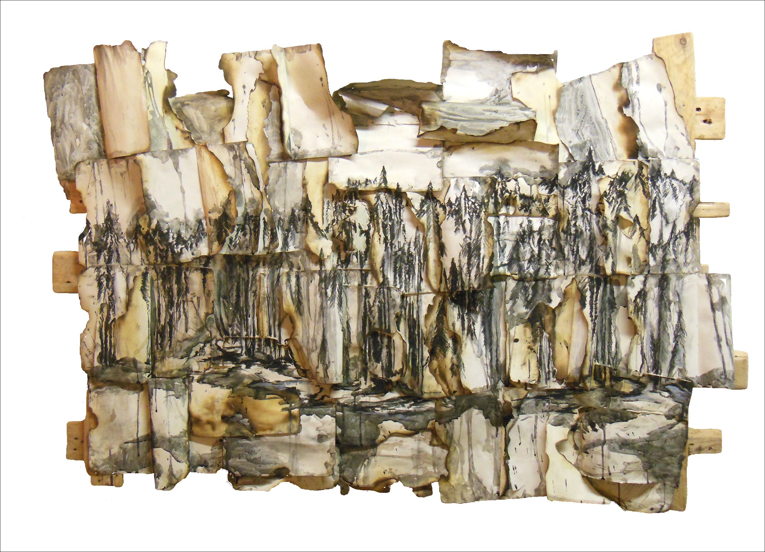 Daniele Girardi, Forest, 2015, carta legno grafite  134 x 90 x 11 cm