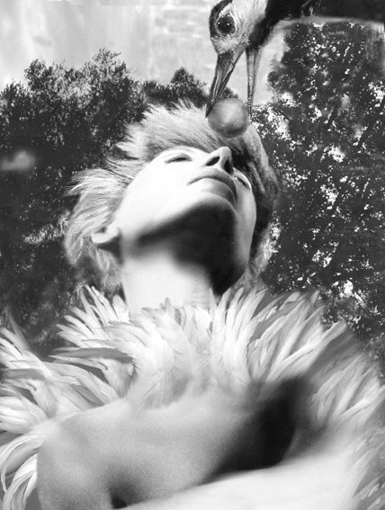 Luisa Raffaelli, A perfect love, 2006, fotopittura digitale sotto plexiglass, 85x77 cm