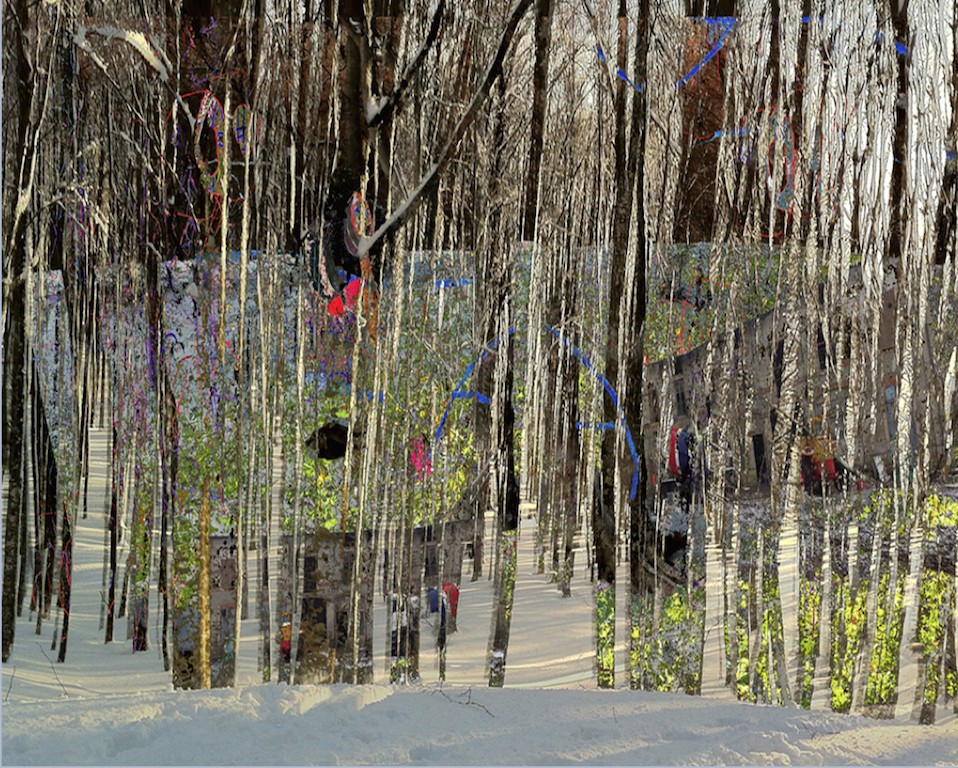 Gianluca Capozzi, Trees3, 2014, matite colorate, pennarello, acrilico su foto, digitalizzata e stampata su plexiglass trasparente, 69x92x0,8 cm