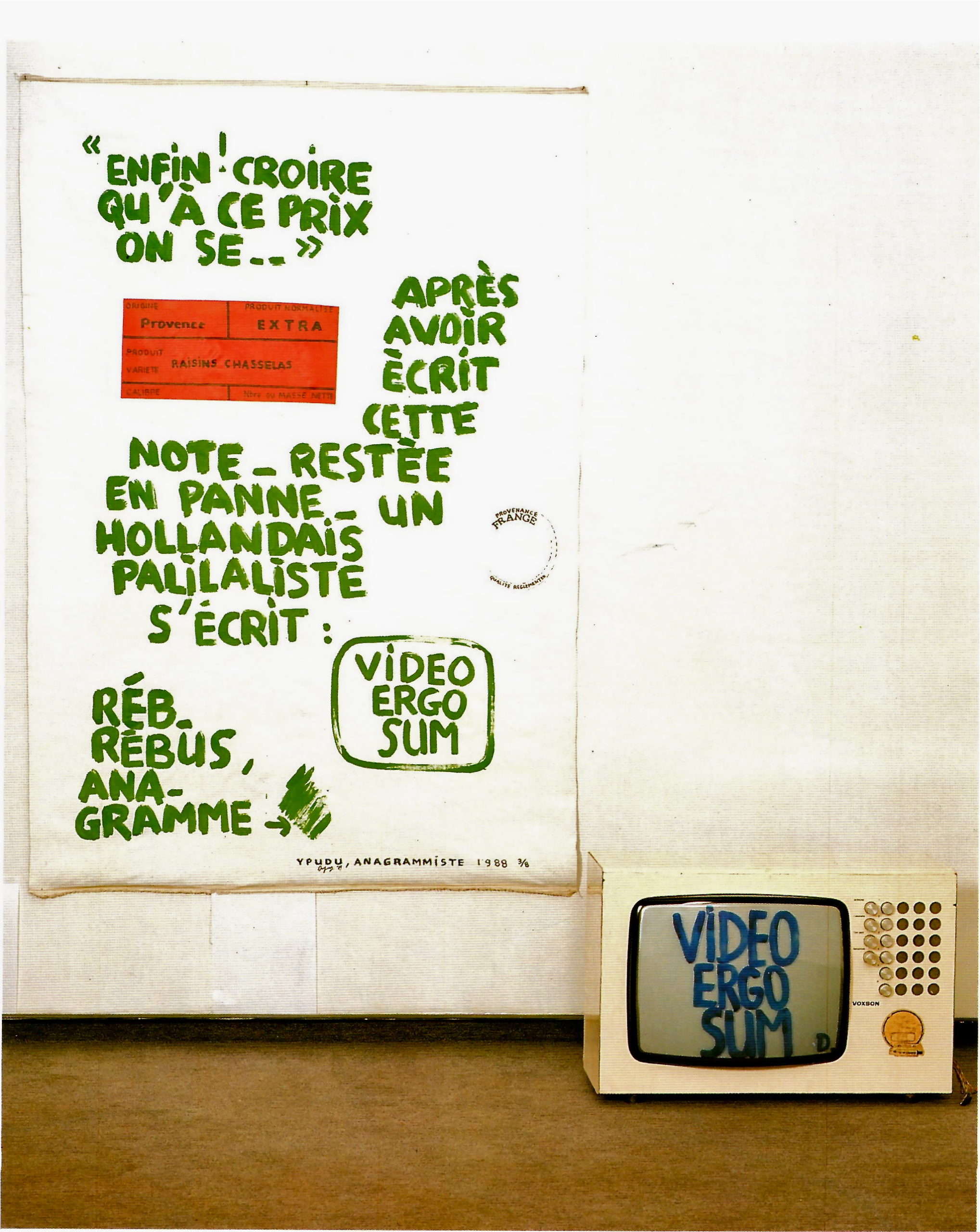 Jean Dupuy Video Ergo Sum, 1988